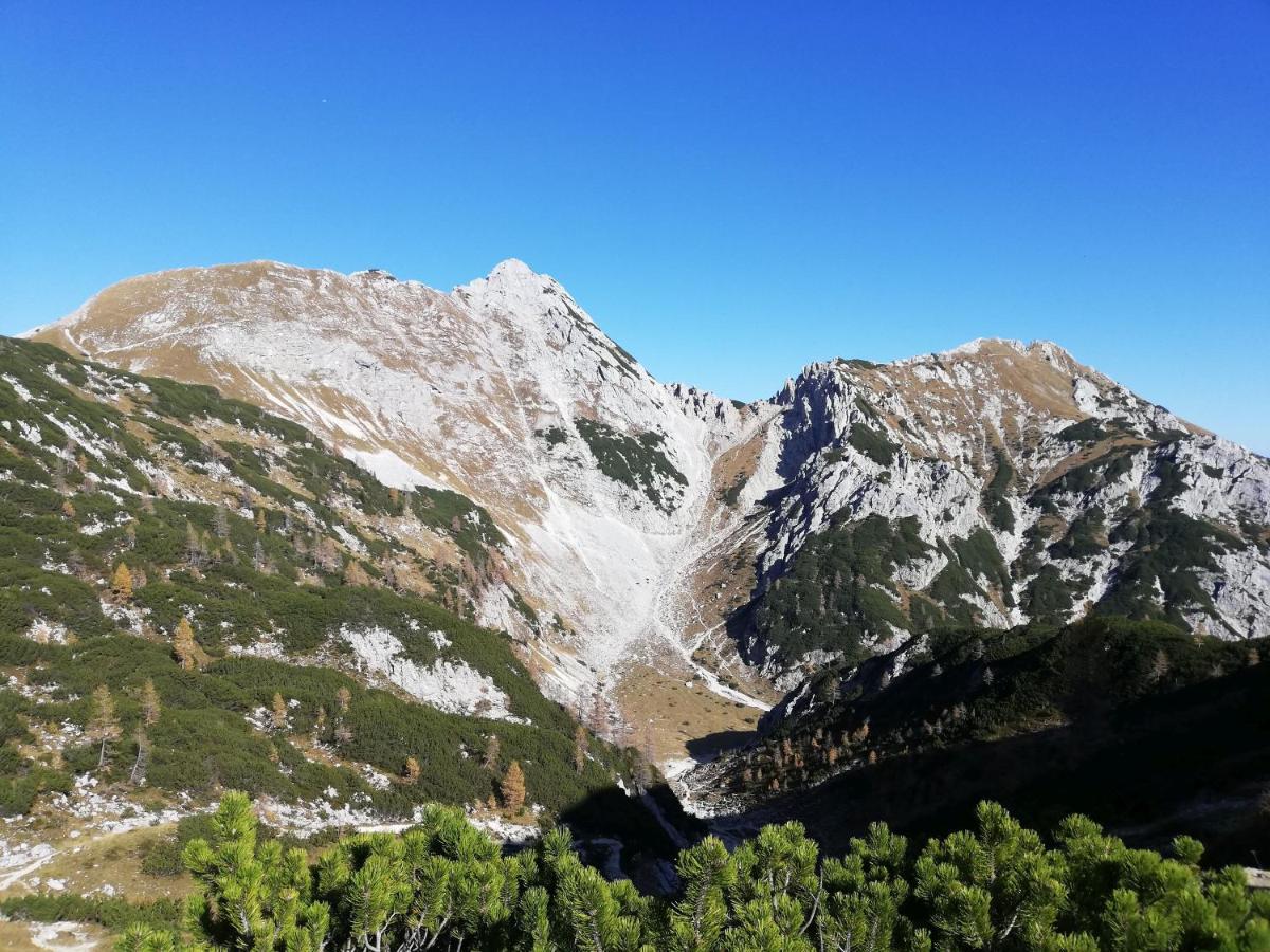 Brunarica Na Goreljeku Bohinj ภายนอก รูปภาพ