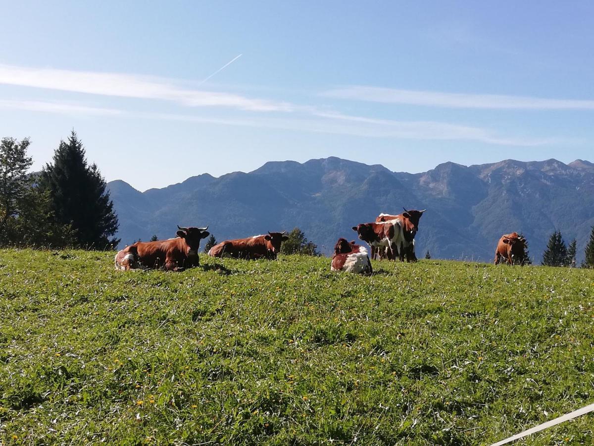 Brunarica Na Goreljeku Bohinj ภายนอก รูปภาพ