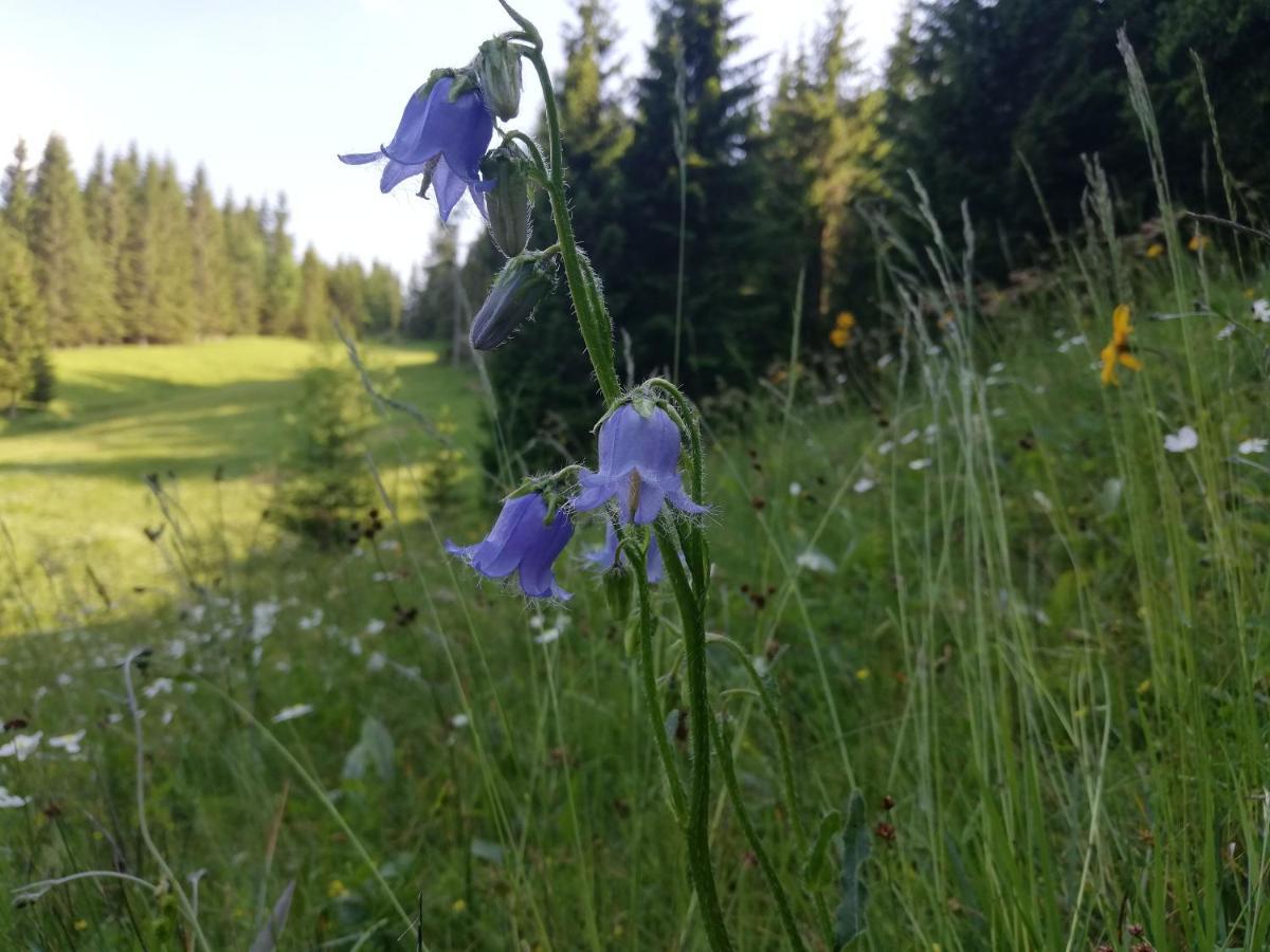 Brunarica Na Goreljeku Apartment Bohinj ภายนอก รูปภาพ