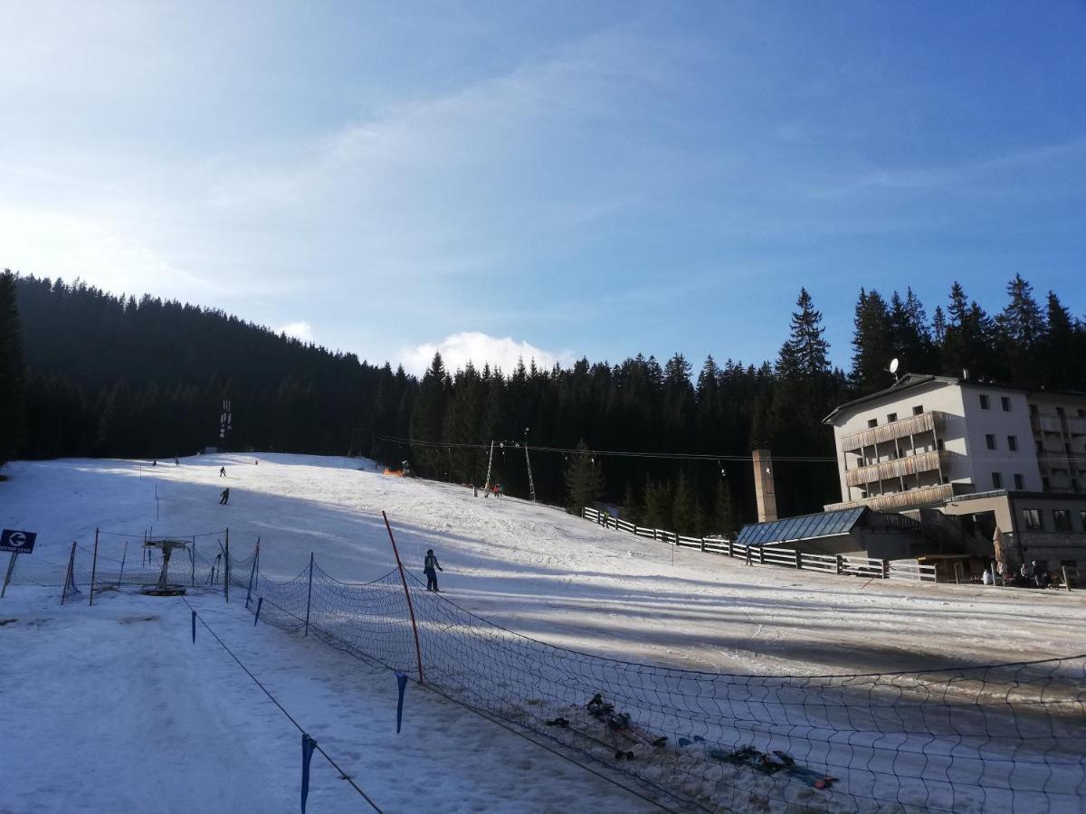 Brunarica Na Goreljeku Bohinj ภายนอก รูปภาพ