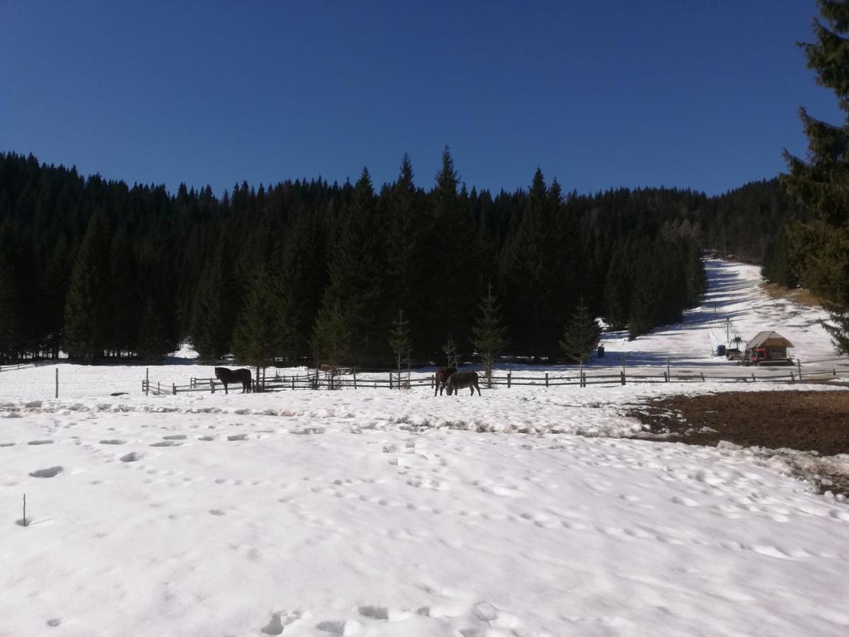 Brunarica Na Goreljeku Bohinj ภายนอก รูปภาพ
