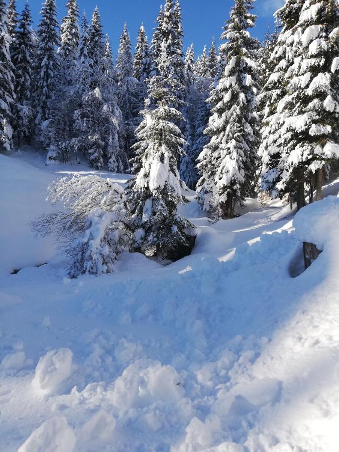 Brunarica Na Goreljeku Bohinj ภายนอก รูปภาพ