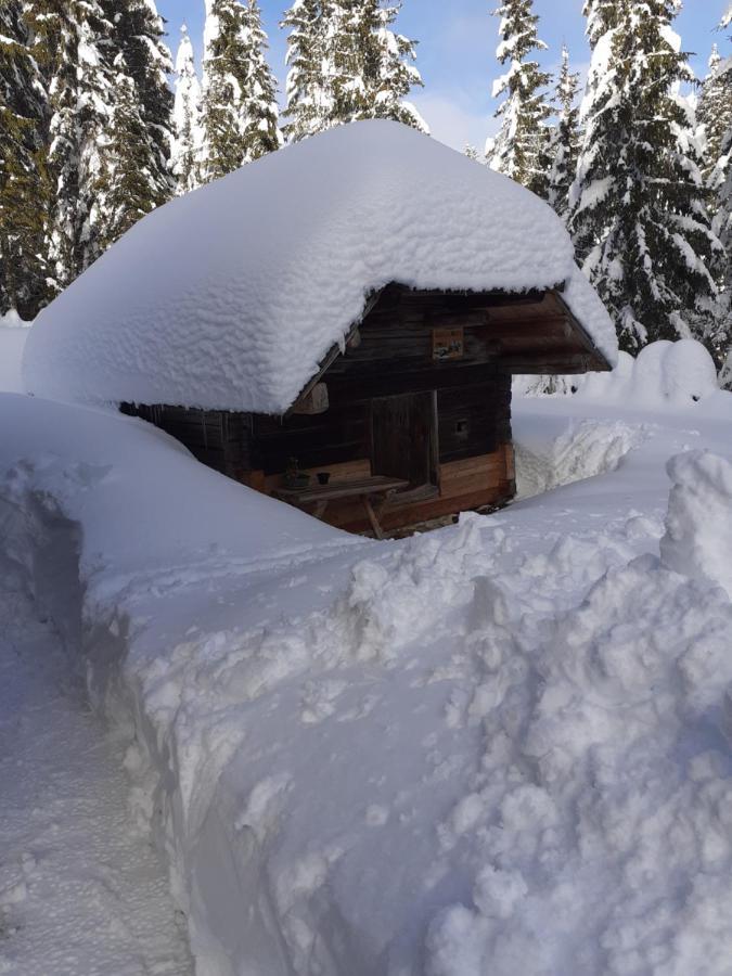 Brunarica Na Goreljeku Bohinj ภายนอก รูปภาพ