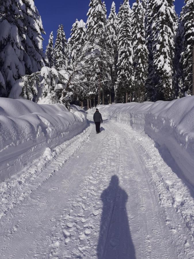 Brunarica Na Goreljeku Bohinj ภายนอก รูปภาพ