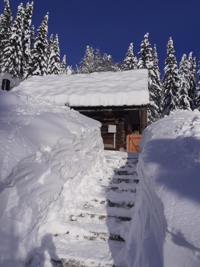 Brunarica Na Goreljeku Apartment Bohinj ภายนอก รูปภาพ