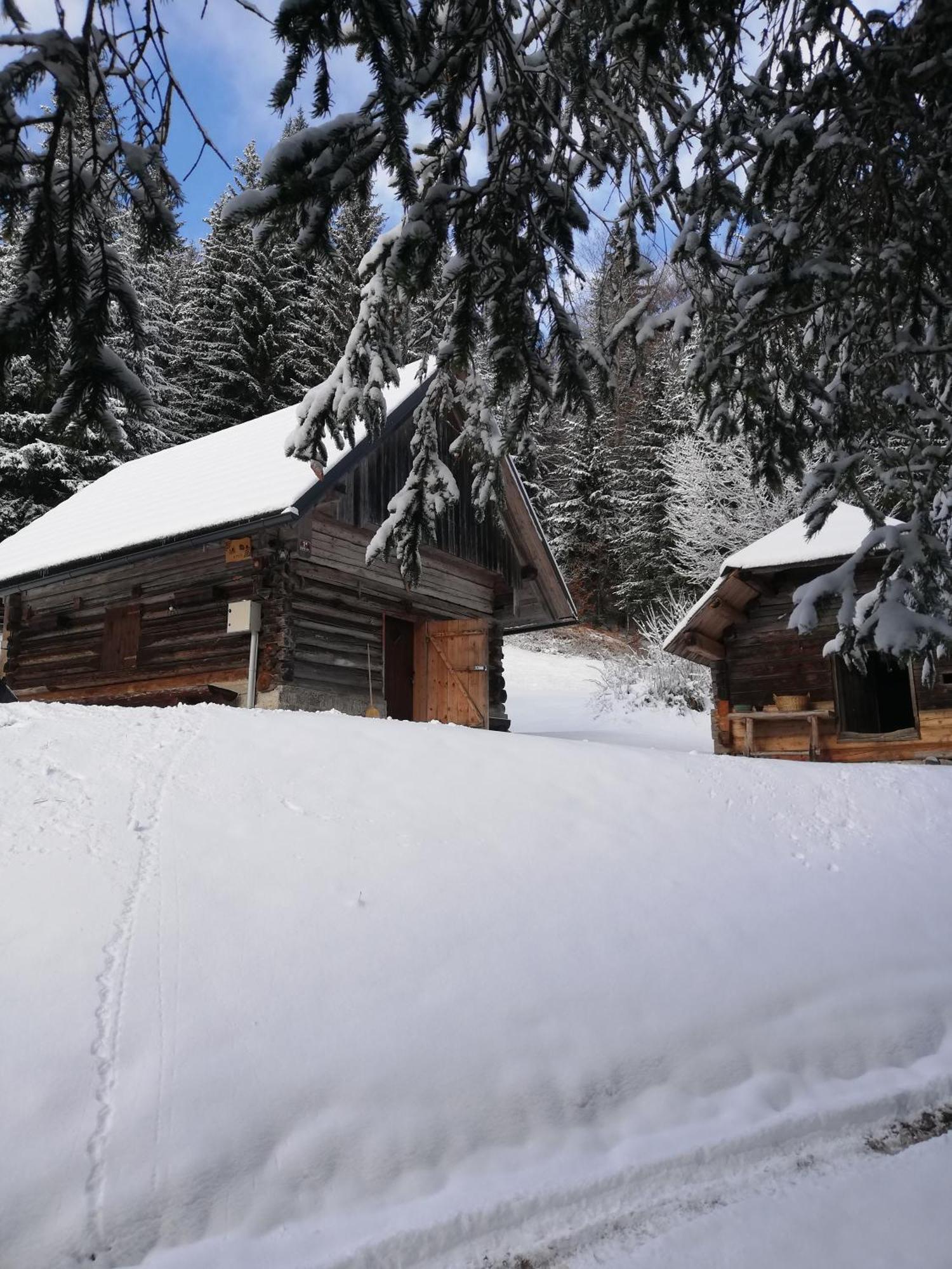 Brunarica Na Goreljeku Bohinj ภายนอก รูปภาพ